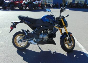 2023 Kawasaki Z125 PRO 4